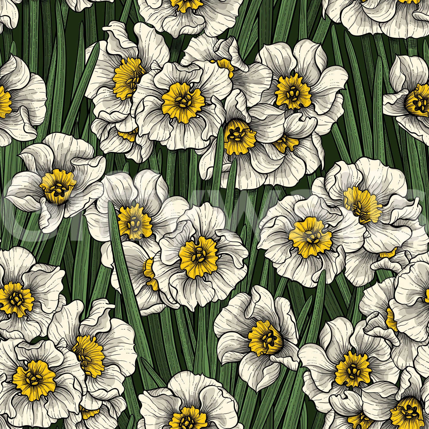 Daffodils Wallpaper
