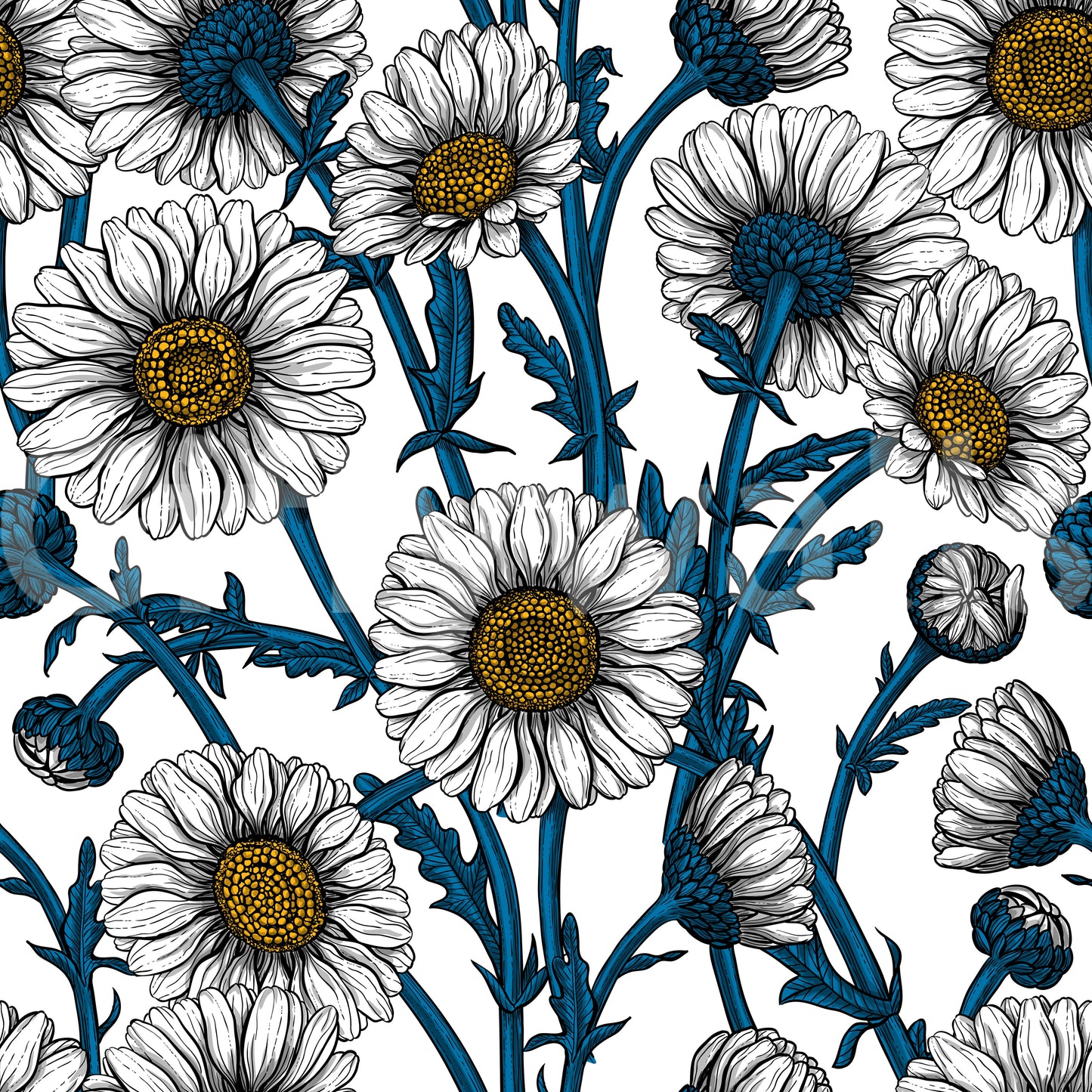 Daisies on white Wallpaper