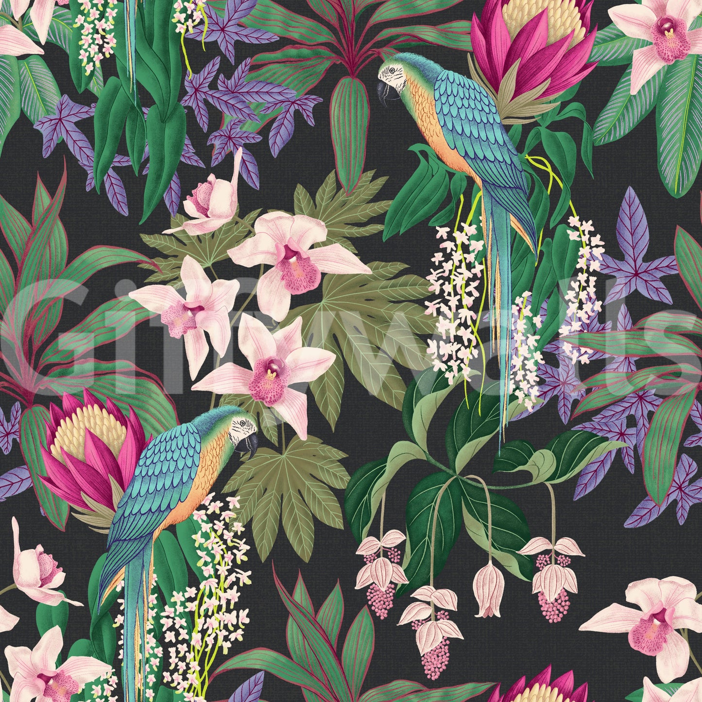 Tropical bird wallpaper with orchids, foliage, and deep background
