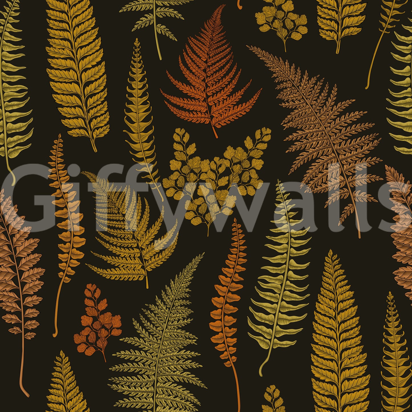Ferns Wallpaper
