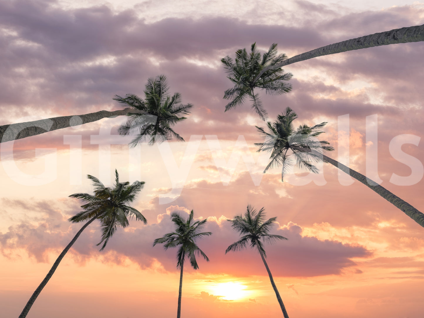 Tropical landscape wall mural with palms and sunset atmosphere
