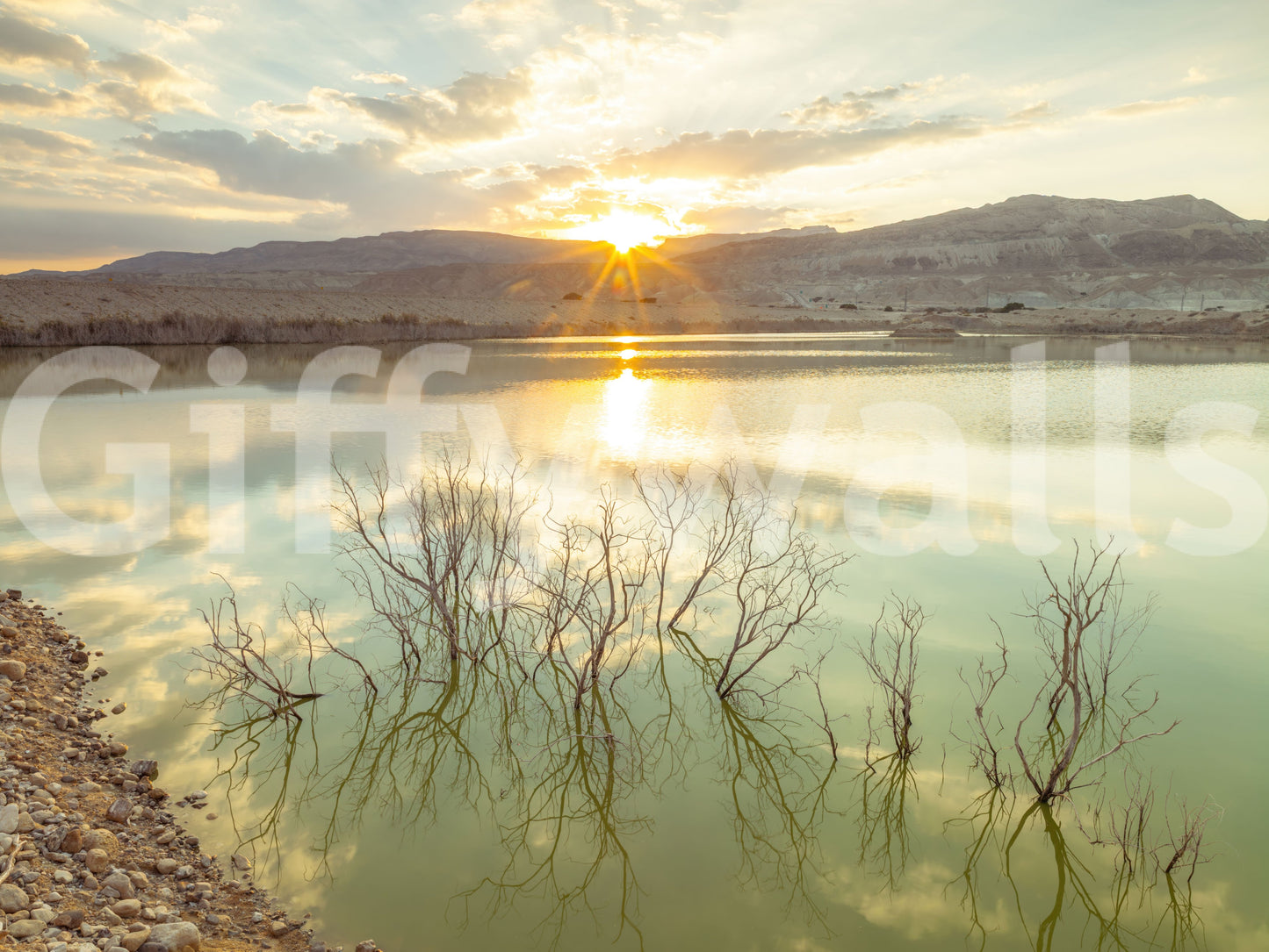 Sunset Reflections over Peaceful Lake Wall Mural