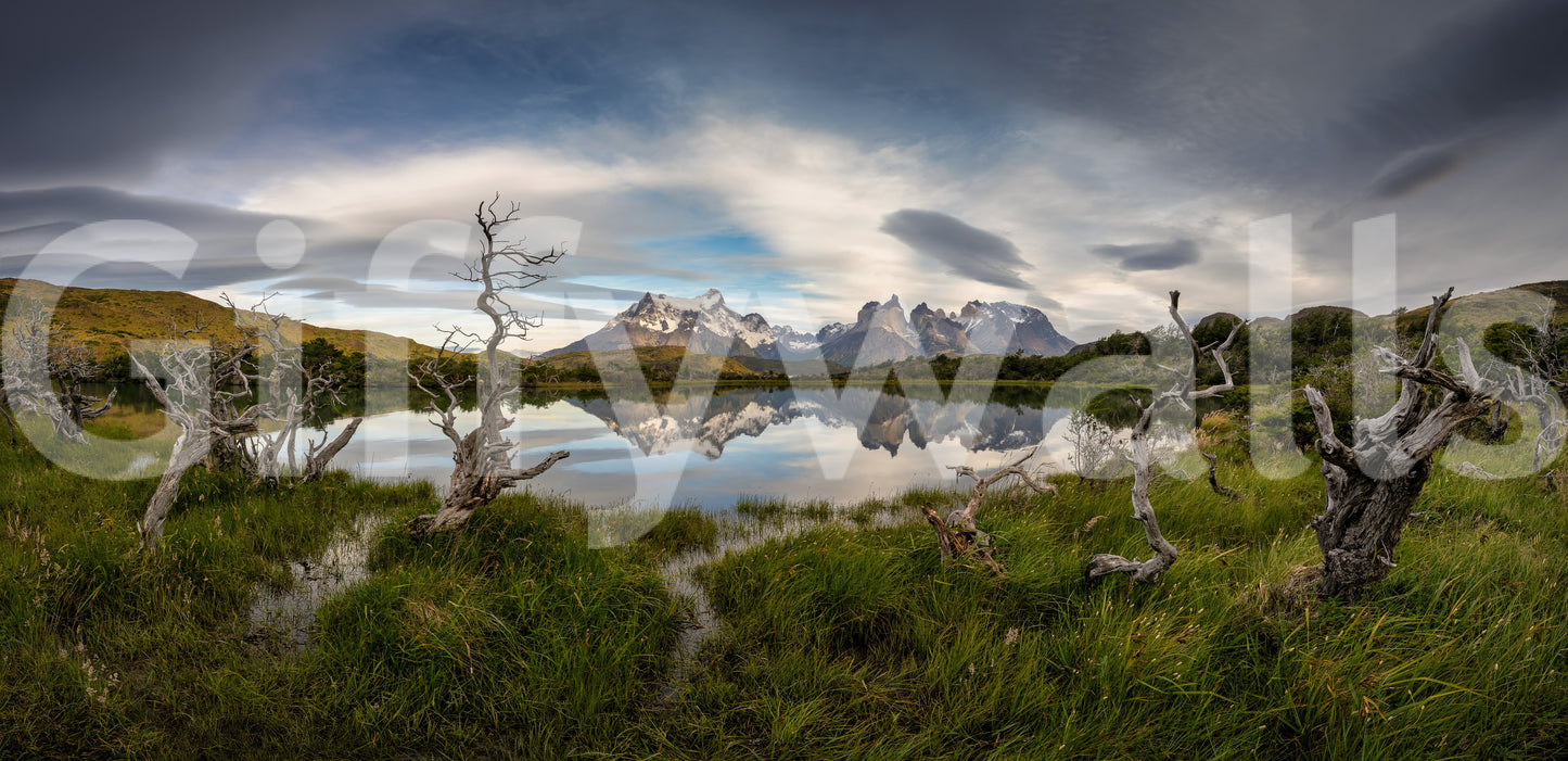 Patagonian Mountain Reflection Wall Mural