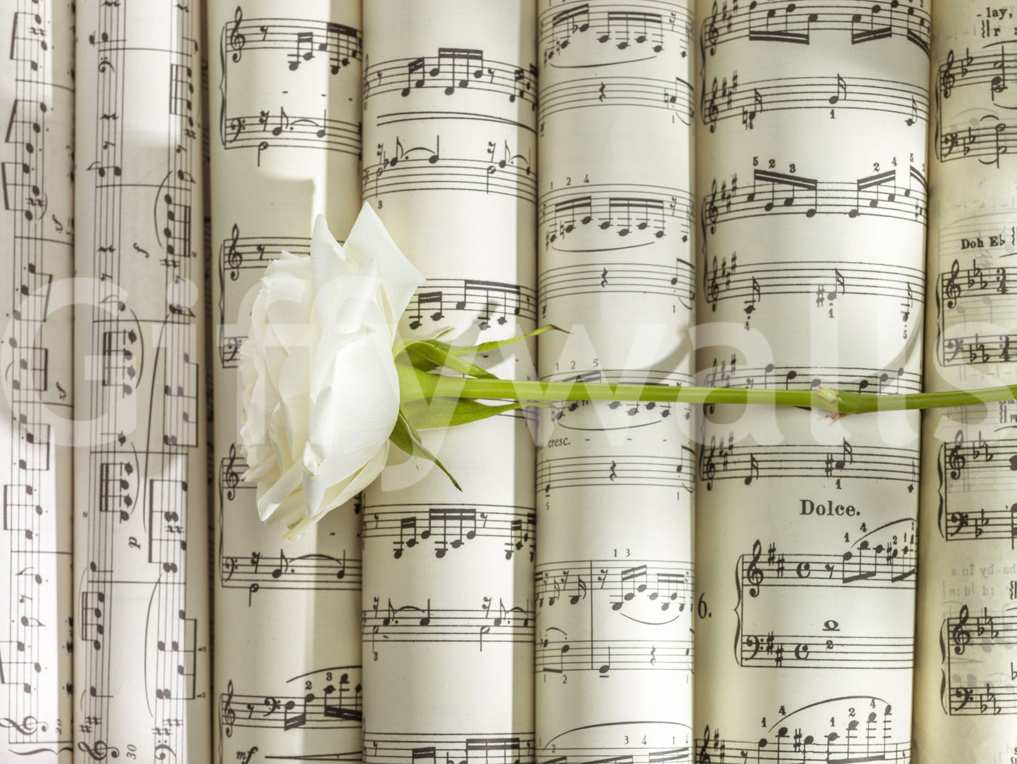 Melodic White Bloom Harmony Wall Mural