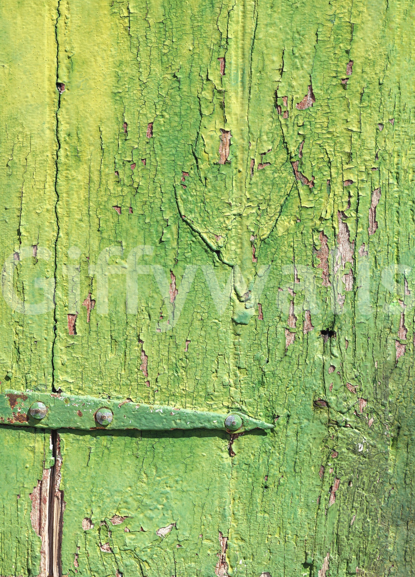 Rustic Industrial Green Wood Hinge Wall Mural