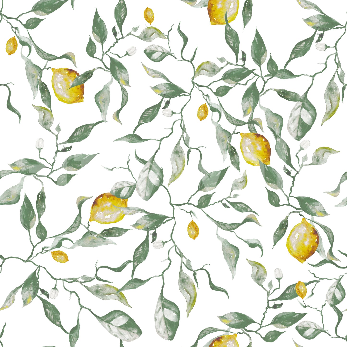 Mediterranean Citrus Grove Illustration Wallpaper