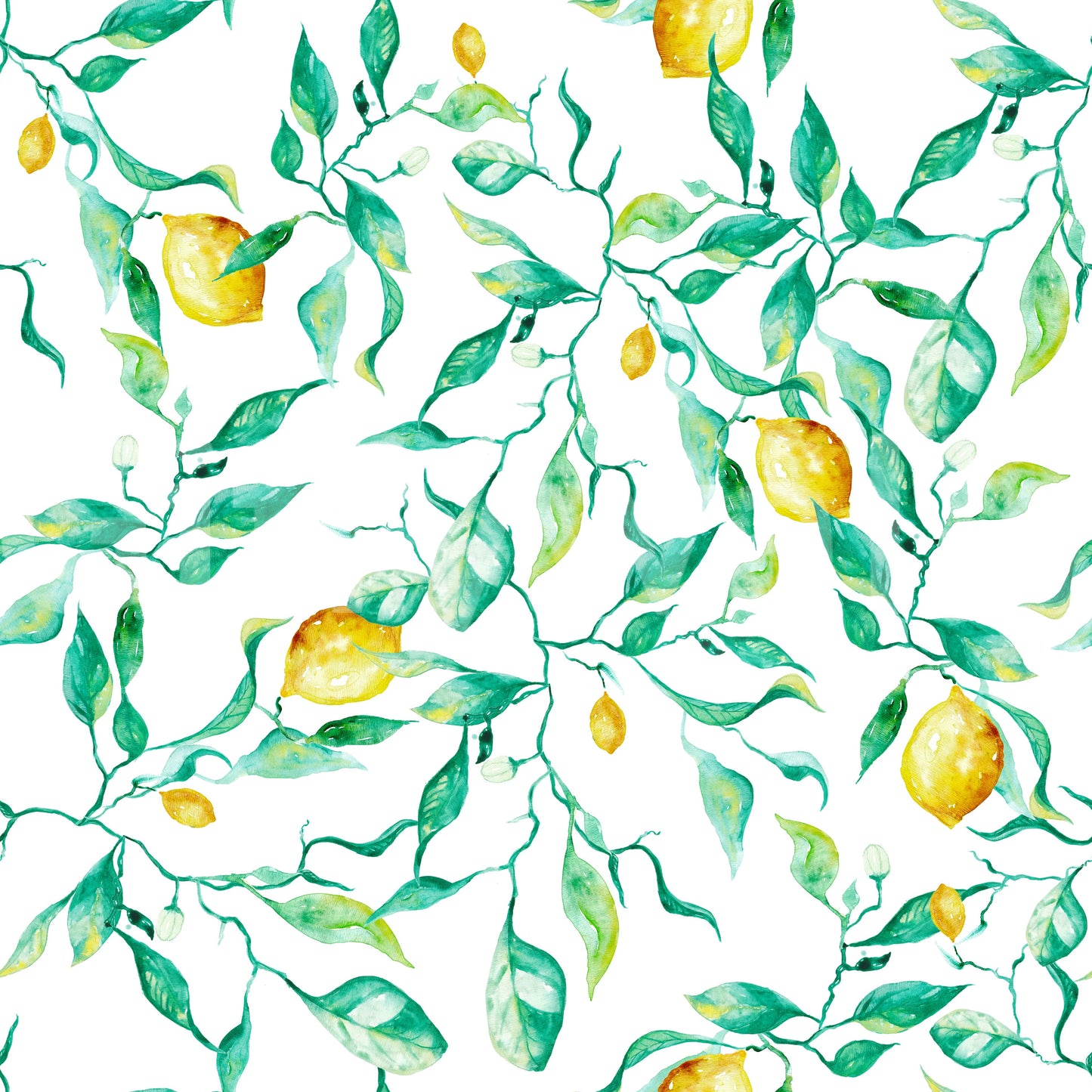 Mediterranean Citrus Grove Orchard Wallpaper