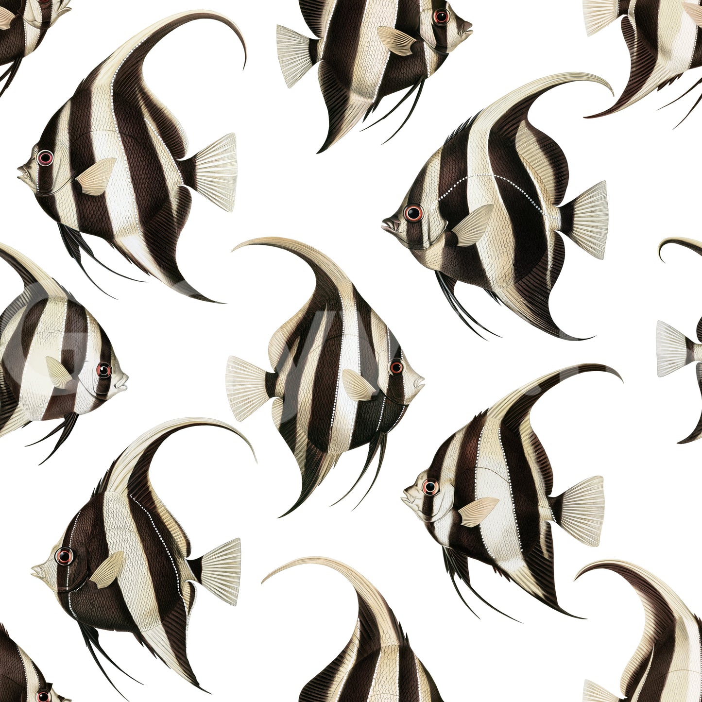 Spade The Fish 01 Wallpaper