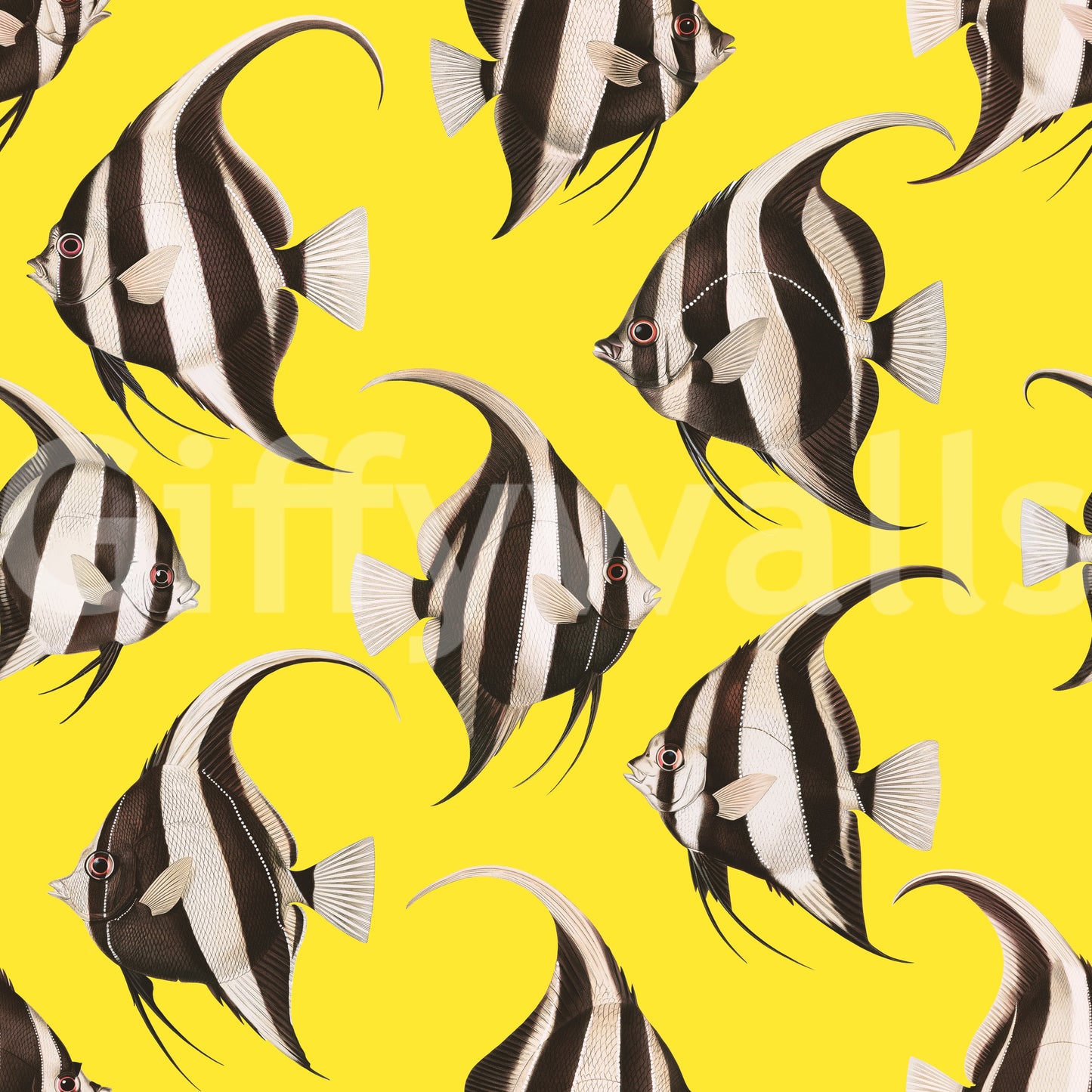 Spade The Fish 03 Wallpaper