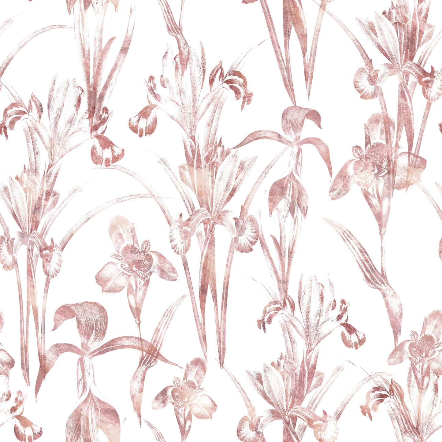 Ethereal Blush Iris Garden Wallpaper