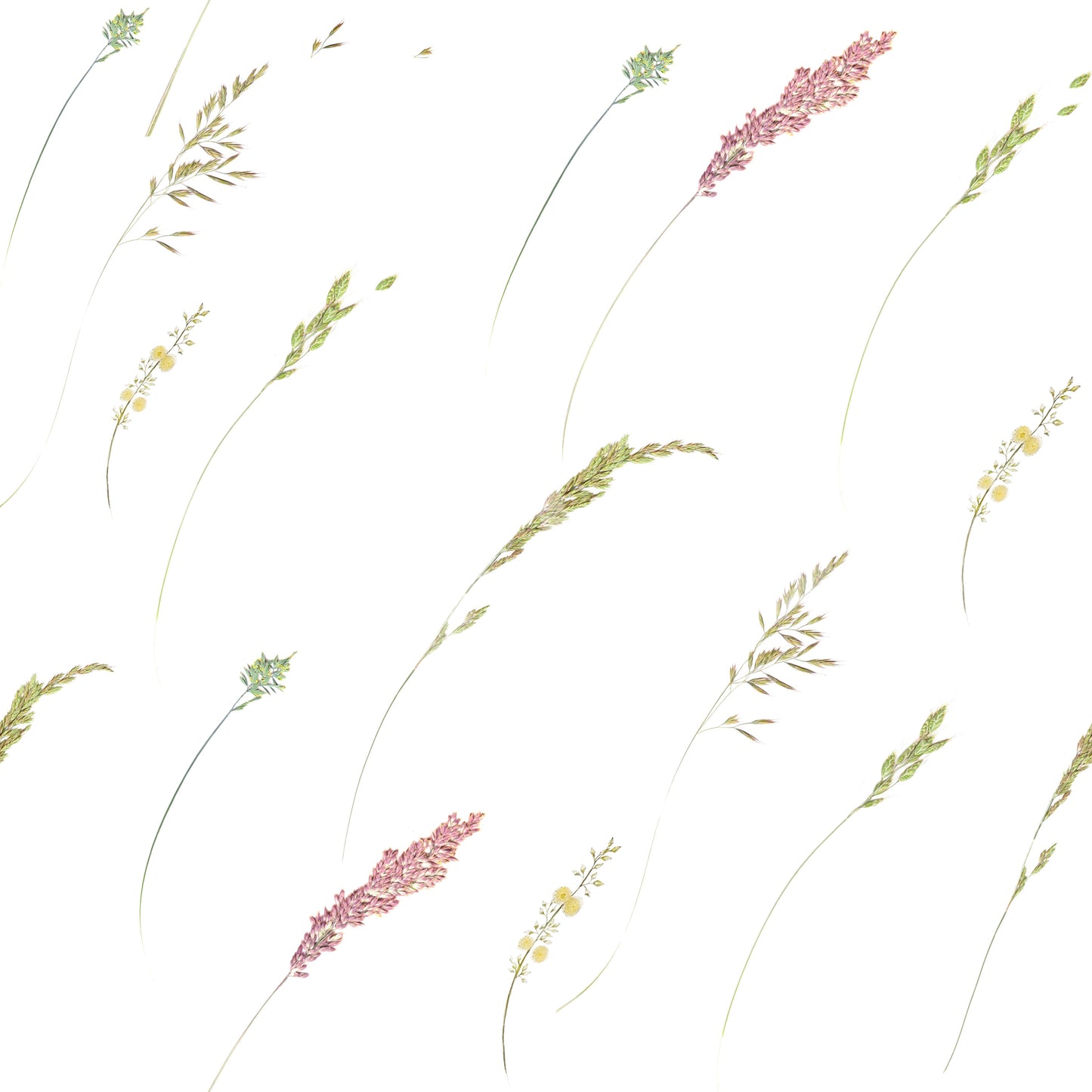 Ethereal Botanical Stems Wallpaper