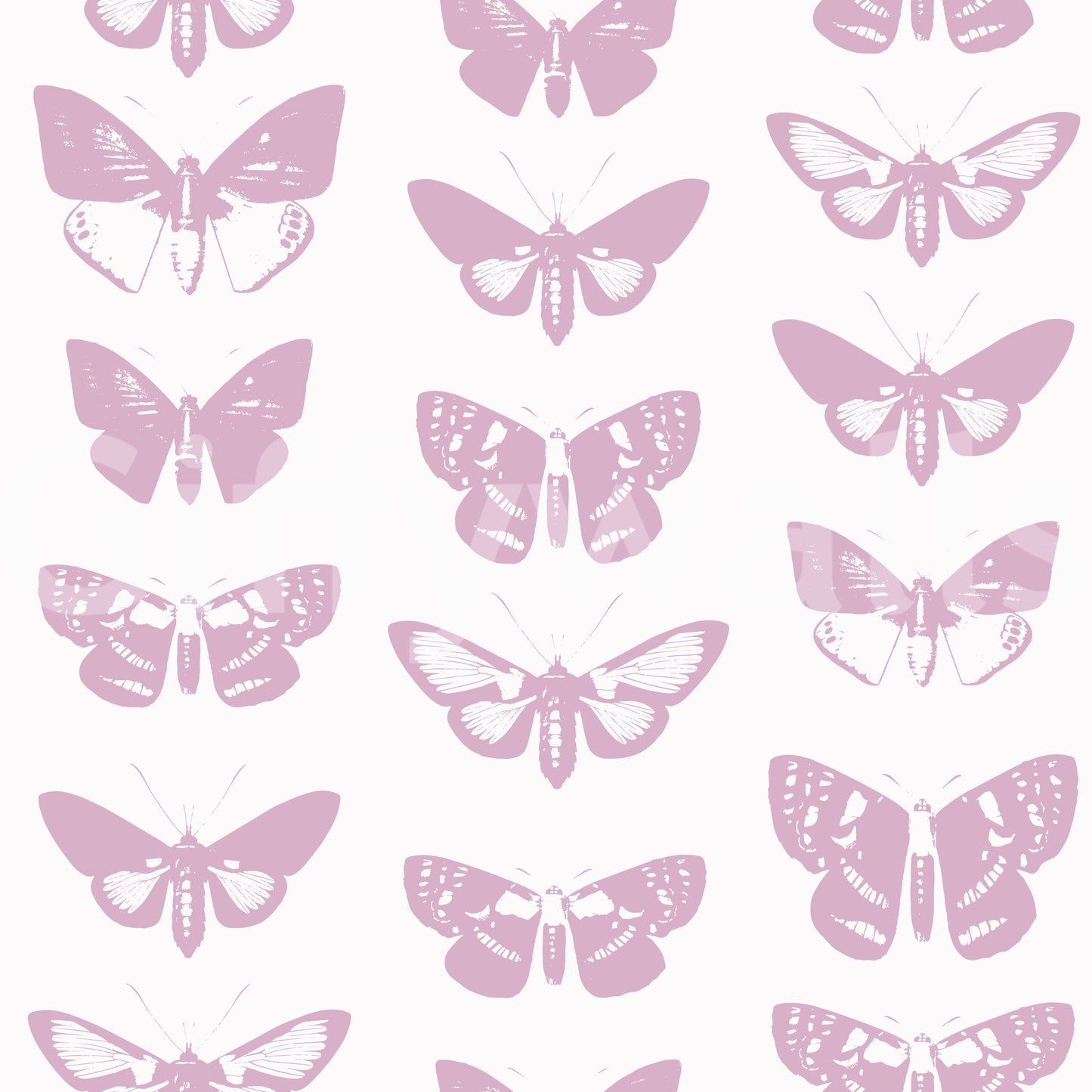 Soft Pink Moth Assemblage Wallpaper