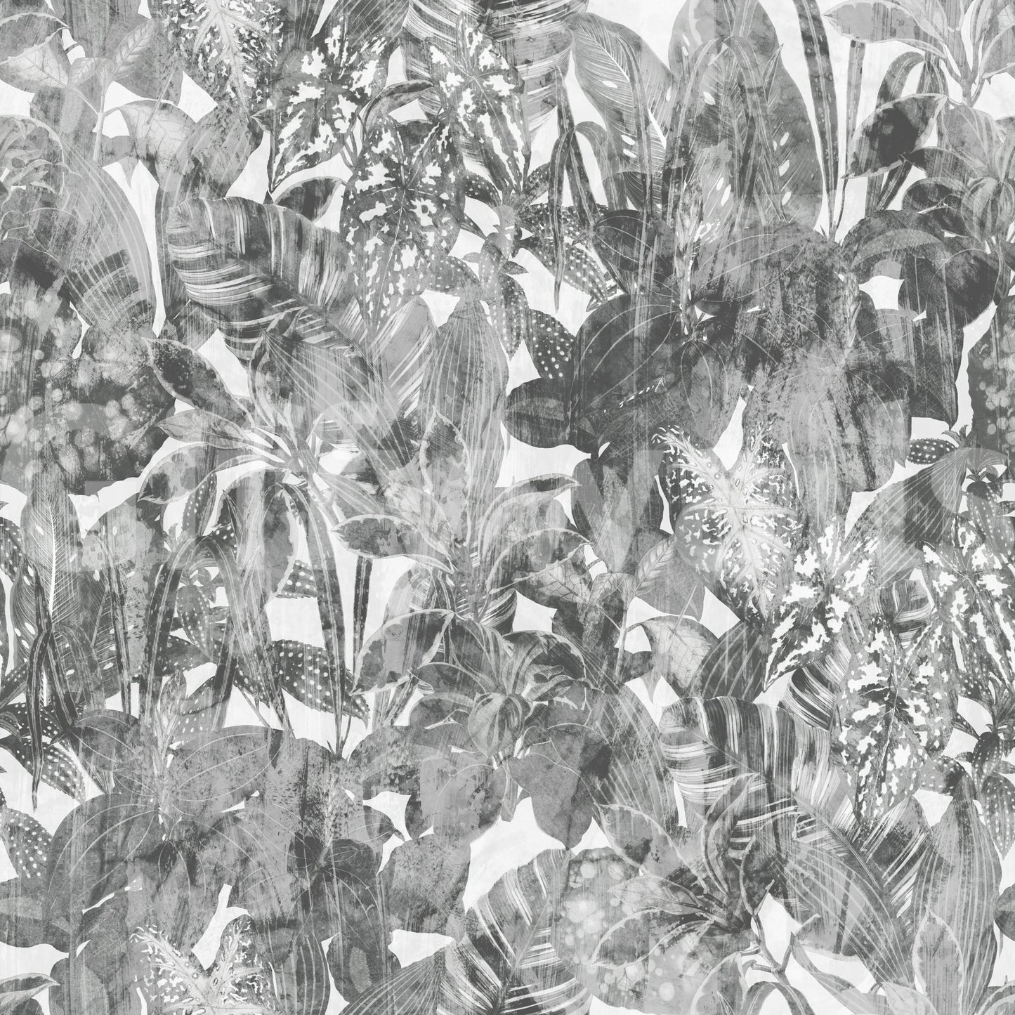 Monochrome Jungle Foliage Wallpaper