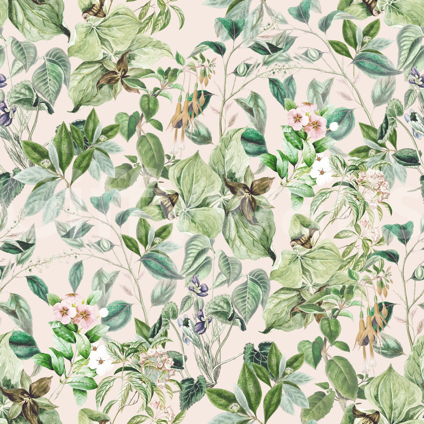 Soft Sage Floral Meadow Wallpaper