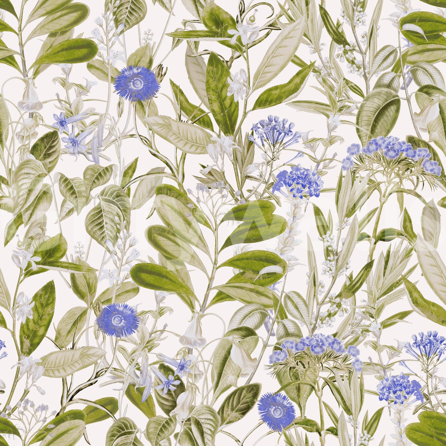 Serene Meadow Blue Floral Study Wallpaper