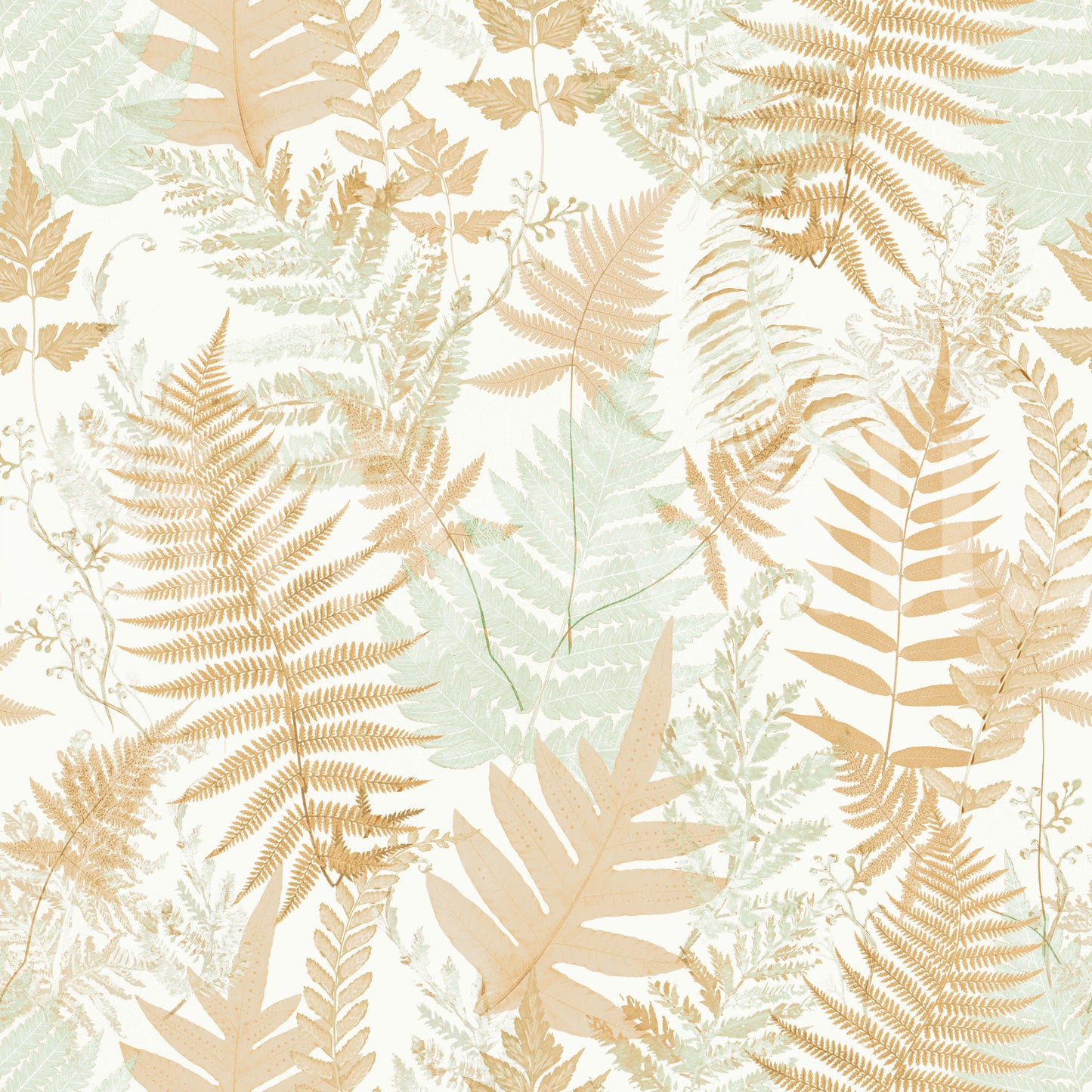 Sun-Drenched Woodland Ferns Wallpaper