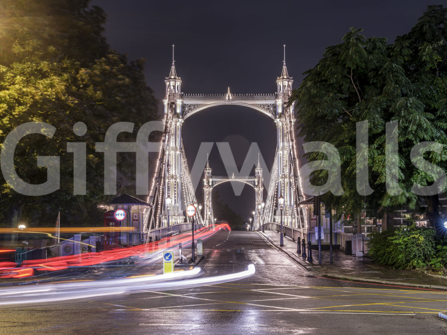 Metropolitan Bridge Light Trails Wall Mural