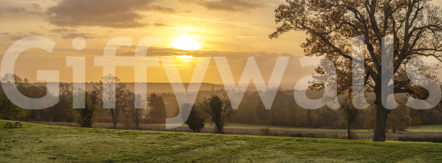 Meadow foreground rolls beneath a Rustic Sunset wall mural, GD12840