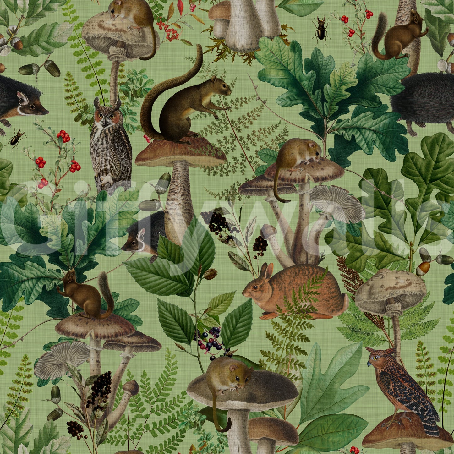 Botanical Woodland Mushroom Grove Wallpaper