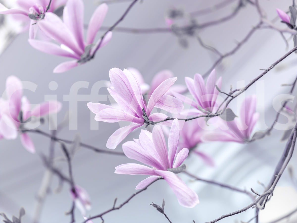 Abstract Pink Floral Branches Wall Mural