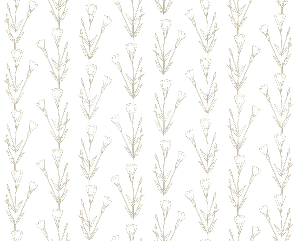 Minimalist Botanical Line Sketch Wallpaper