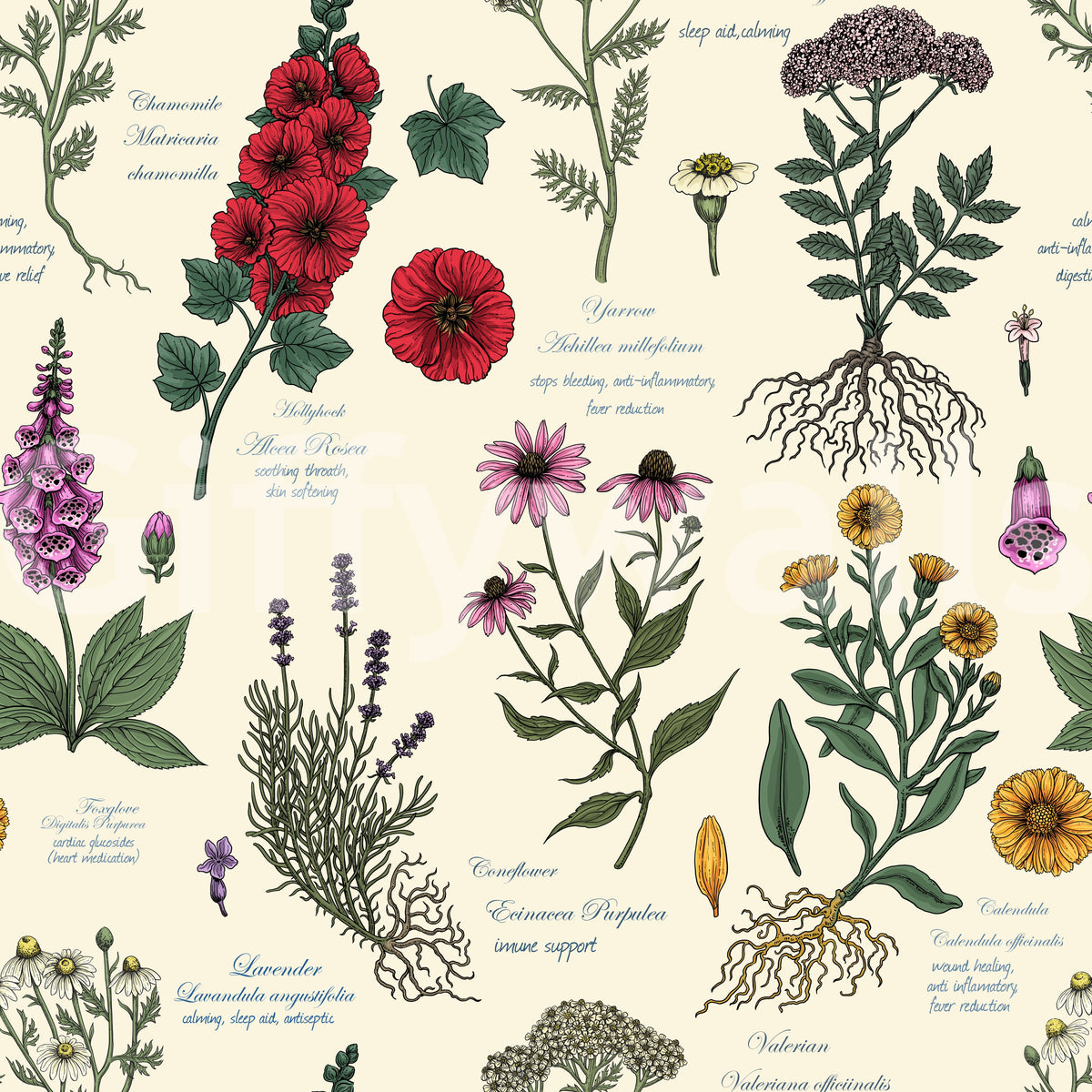 Vintage Botanical Herbarium Study Wallpaper