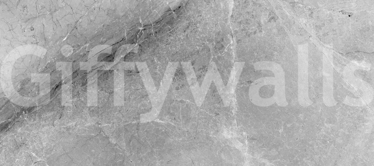 Monochromatic Grey Marble Slab Wall Mural