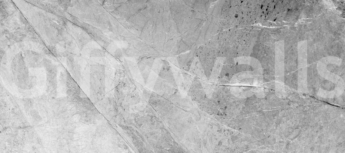 Minimalist Cool Grey Marble Slab Wall Mural