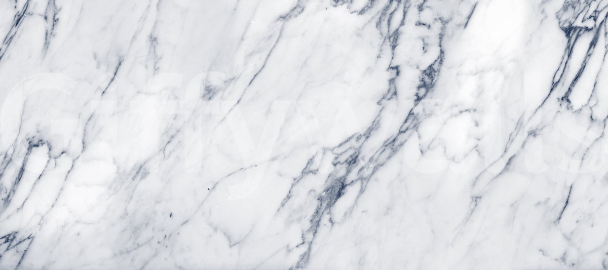 Classic White and Grey Marble Veins Wall Mural