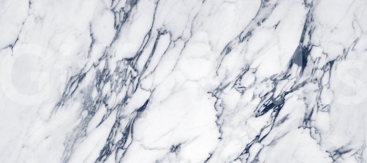Classic White and Blue Veined Marble Wall Mural