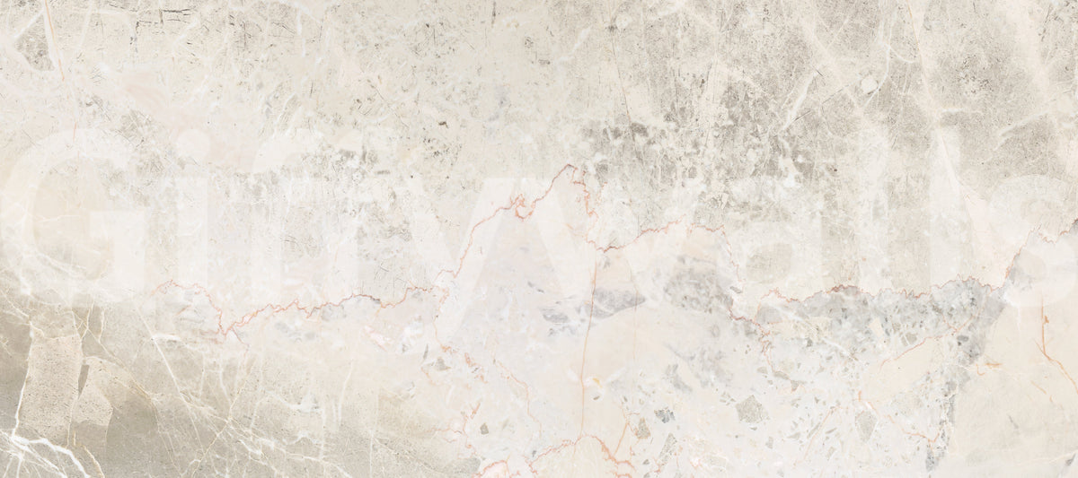 Natural Stone Vein Texture Wall Mural