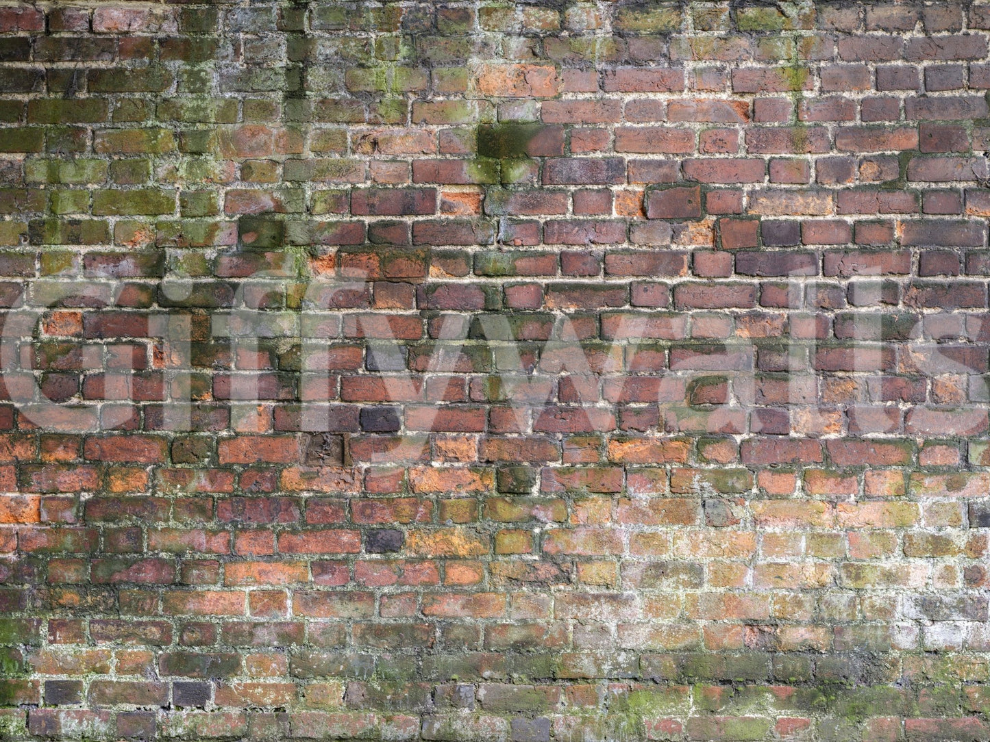 Great for accent walls.