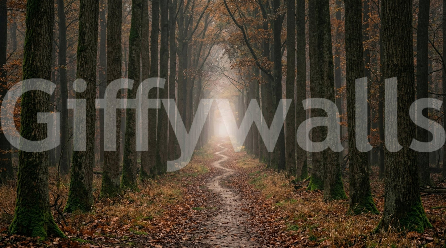 Office room woodland mural winding trail forest view
