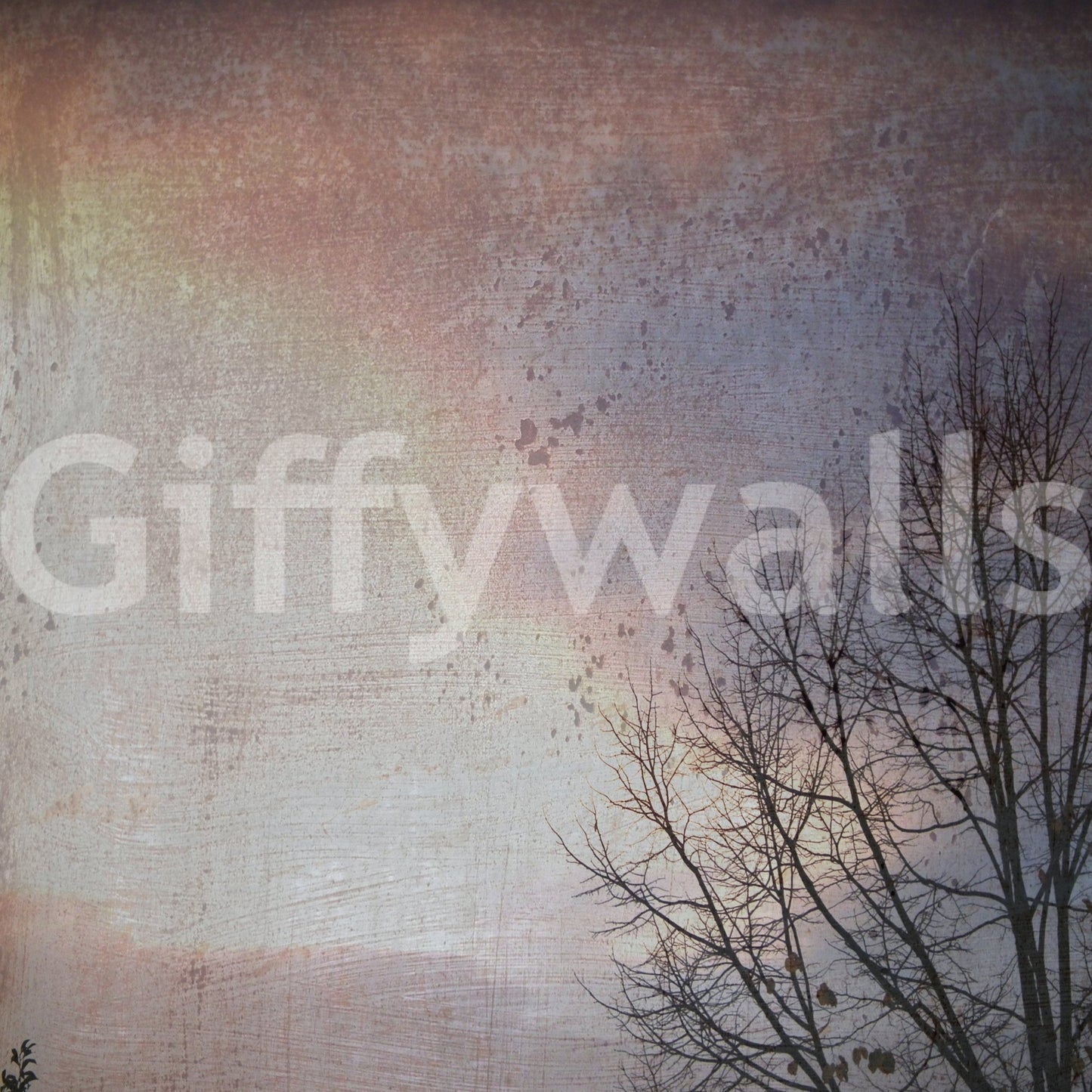 Textured winter sky wall mural with shadowed limbs