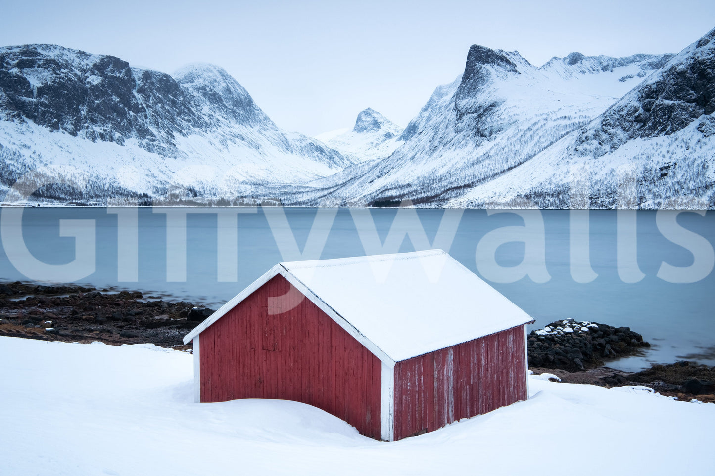 Winter Solitude Wall Mural -2213163
