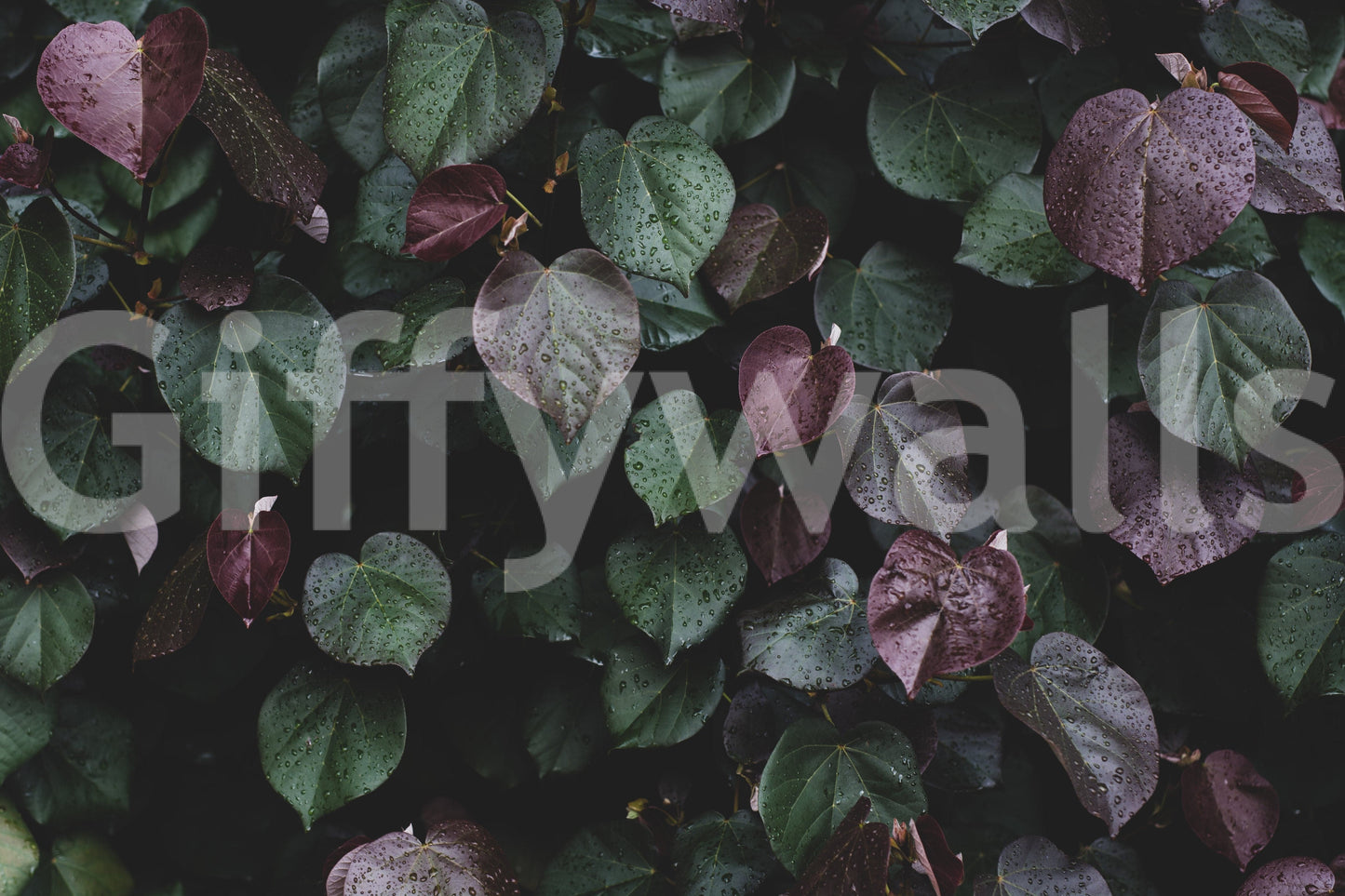 A detail of the warm tones in the leaves and sky.