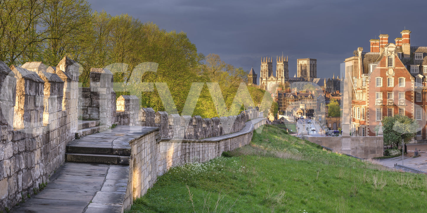 A detail of the brushstrokes and tones in the design.