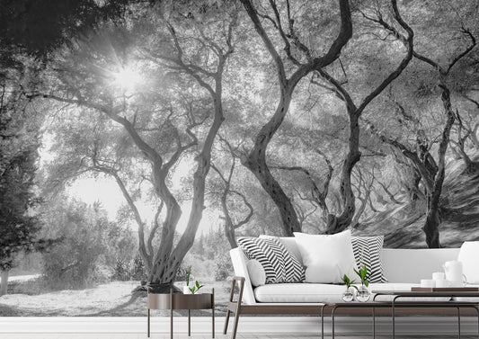 Beautiful Nature Wallpaper for Accent Walls