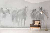 Wild horses black and white wallpaper design

