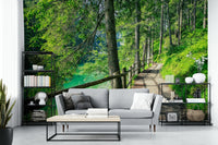 Forest trail wallpaper next to a tranquil green lake

