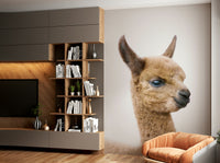 Cute baby llama mural with stars and soft clouds

