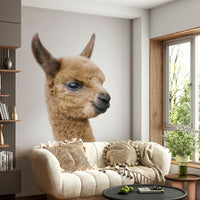 Hand-drawn llama wallpaper for baby and toddler rooms

