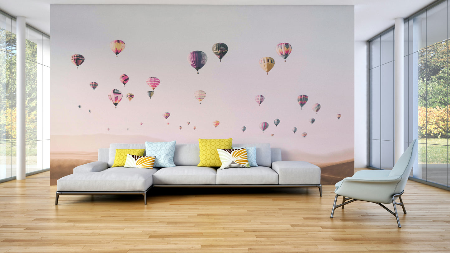 Air balloons wall mural for vibrant interiors

