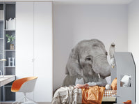 Cute baby elephant wallpaper for nursery walls
