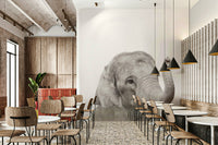 Whimsical baby elephant wallpaper for playful spaces