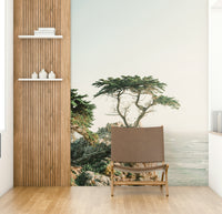 Beautiful Monterey coastline mural for walls

