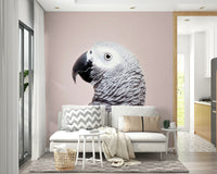 African Grey bird mural in botanical background

