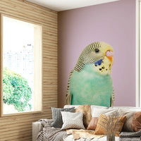 Pair of budgies mural for a cheerful wall accent


