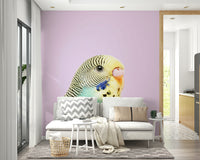 Nature wall mural with colorful budgerigar birds

