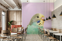 Realistic budgie bird mural on white background

